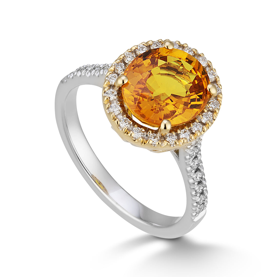 Golay-Ring z.orange oval 9x7 und Durchmesserkontur und Schaft ACLCG427DIZO97-24068110042