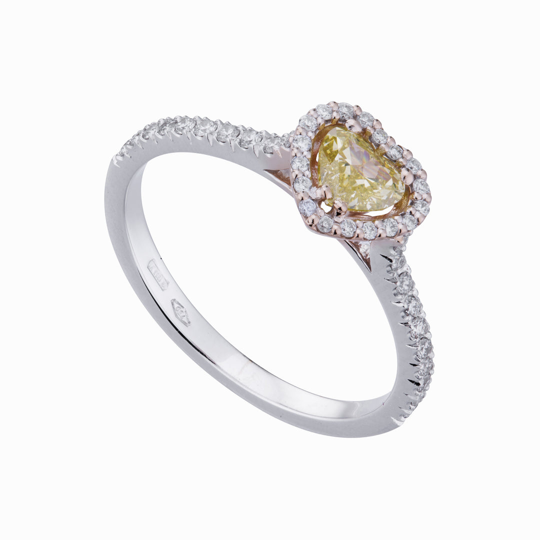 Golay anello cuore fancy con contorno e gambo incassato ACT006DIFY-22133110044