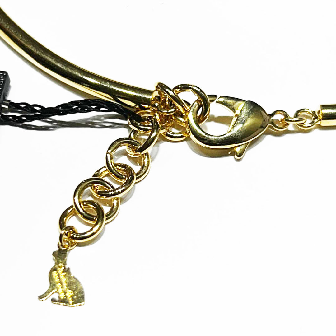 Federica Rossi starres röhrenförmiges Halsband mit 18-karätigem Gold-PVD-Finish FR.CO.33